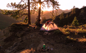 a tent in the forest